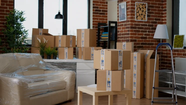 Snappy movers packing